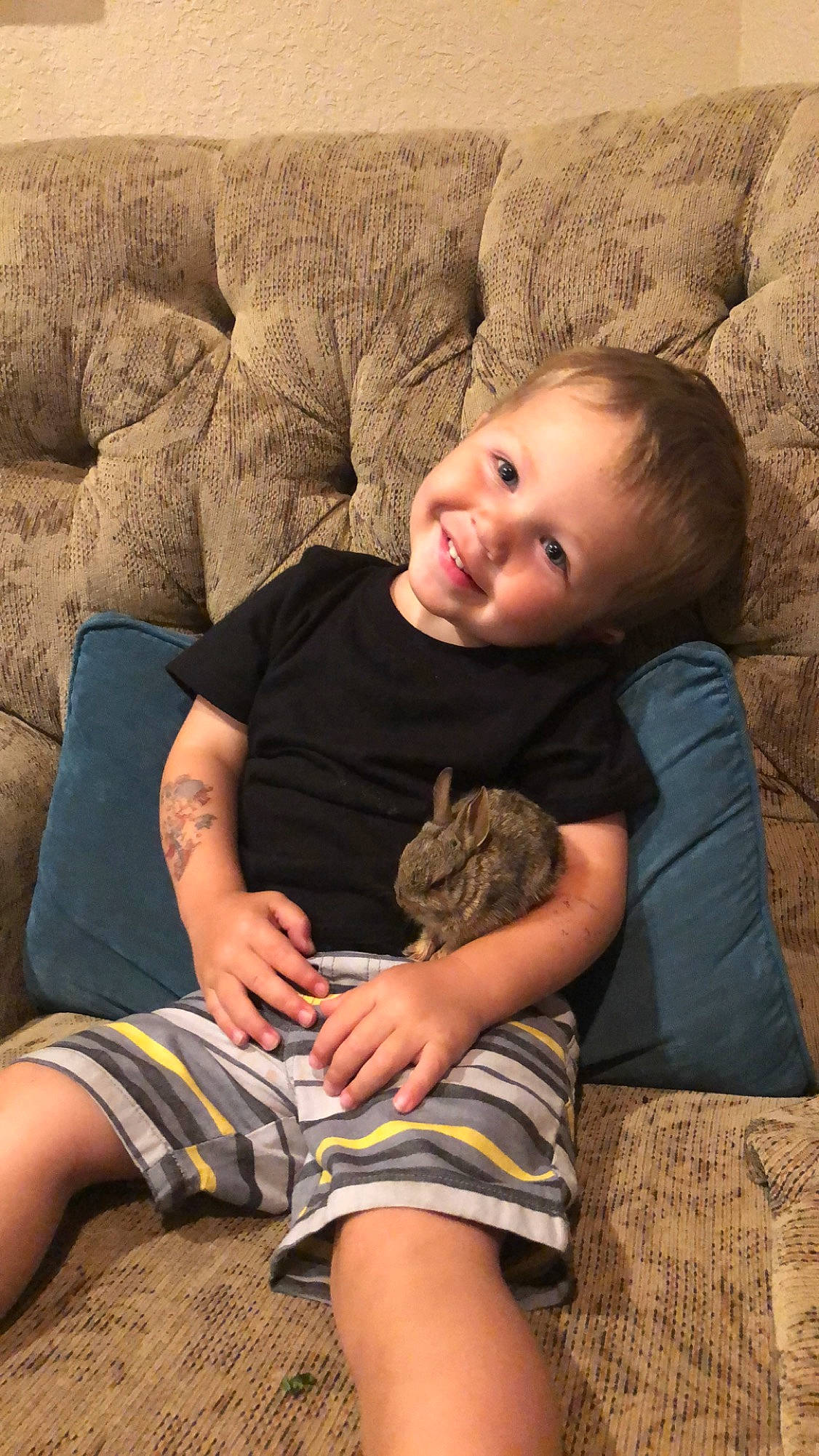 Kaeden is registered to the contest to win money with this photo: baby, child, comfort, joy, leg, person, sitting, skin, toddler