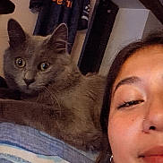 Pablo participe au concours pour gagner de l'argent avec cette photo : animal, bed, bedroom, blanket, cat, closeup, clothing, cozy, eyes, face, furniture, gray_cat, indoors, jersey, kitten, person, pet, portrait, selfie, winking