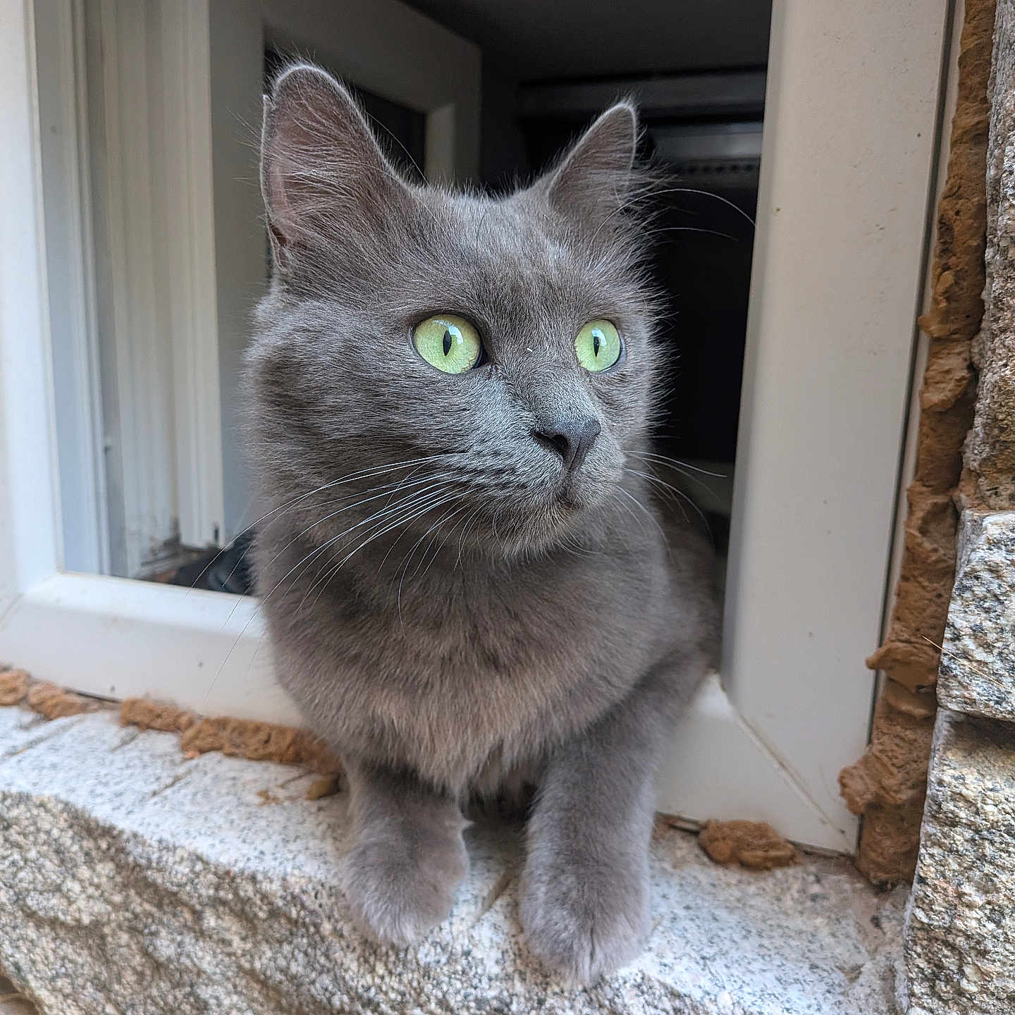 Pablo