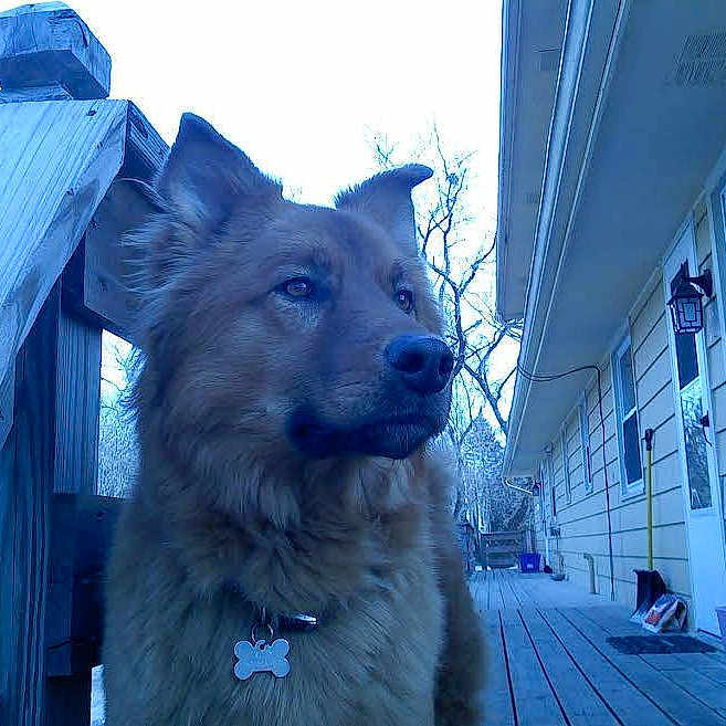 Riley joined the competition — help win amazing prizes!