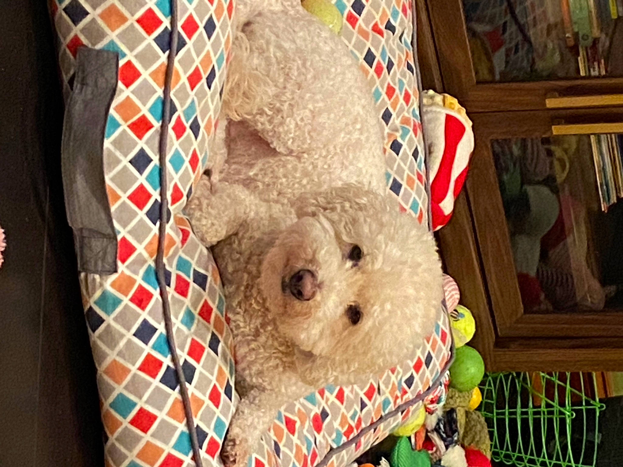 Captain America joined the competition — help win amazing prizes! art, baby_toys, basket, craft, crochet, event, fawn, fur, hat, linens, pattern, plush, room, stuffed_toy, sun_hat, teddy_bear, textile, toy, wood, wool