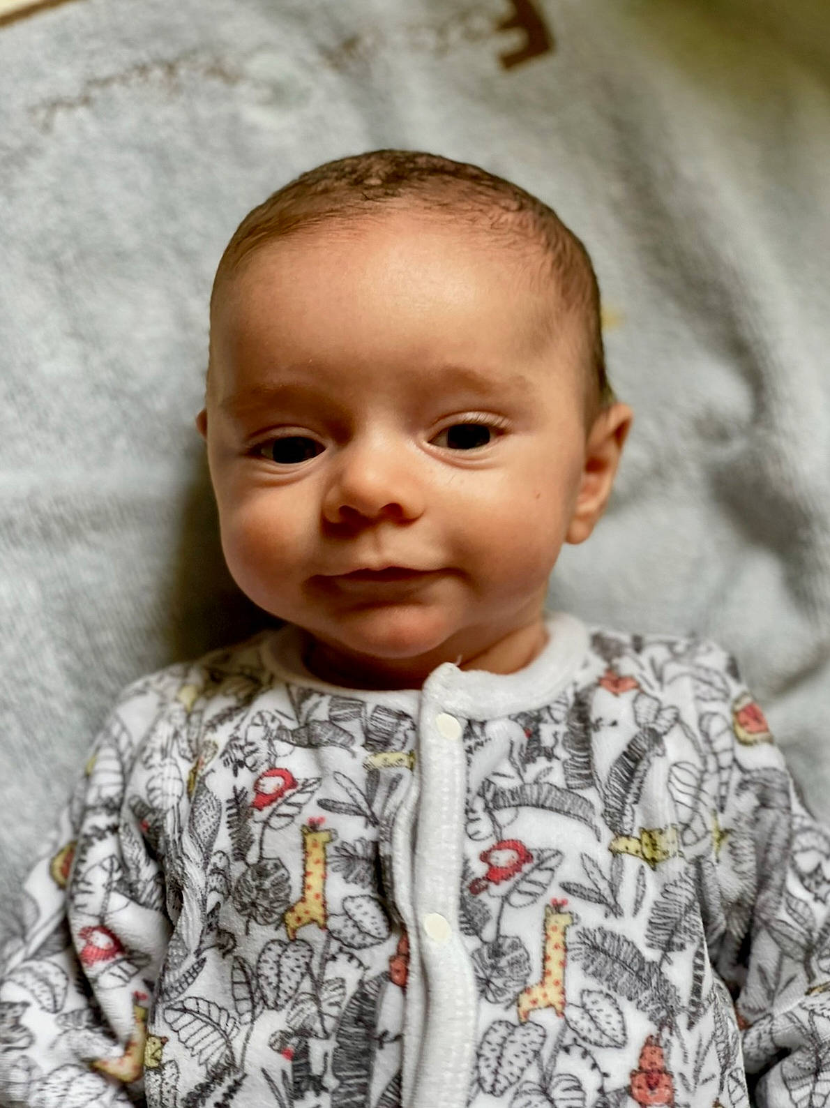 Lucas a rejoint le concours — aidez-le/la à gagner de superbes lots ! baby, baby_toddler_clothing, cheek, chin, clothing, eye, eyebrow, forehead, hair, hairstyle, happy, head, human_body, iris, lip, mouth, nose, person, skin, sleeve