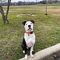 Colby M.