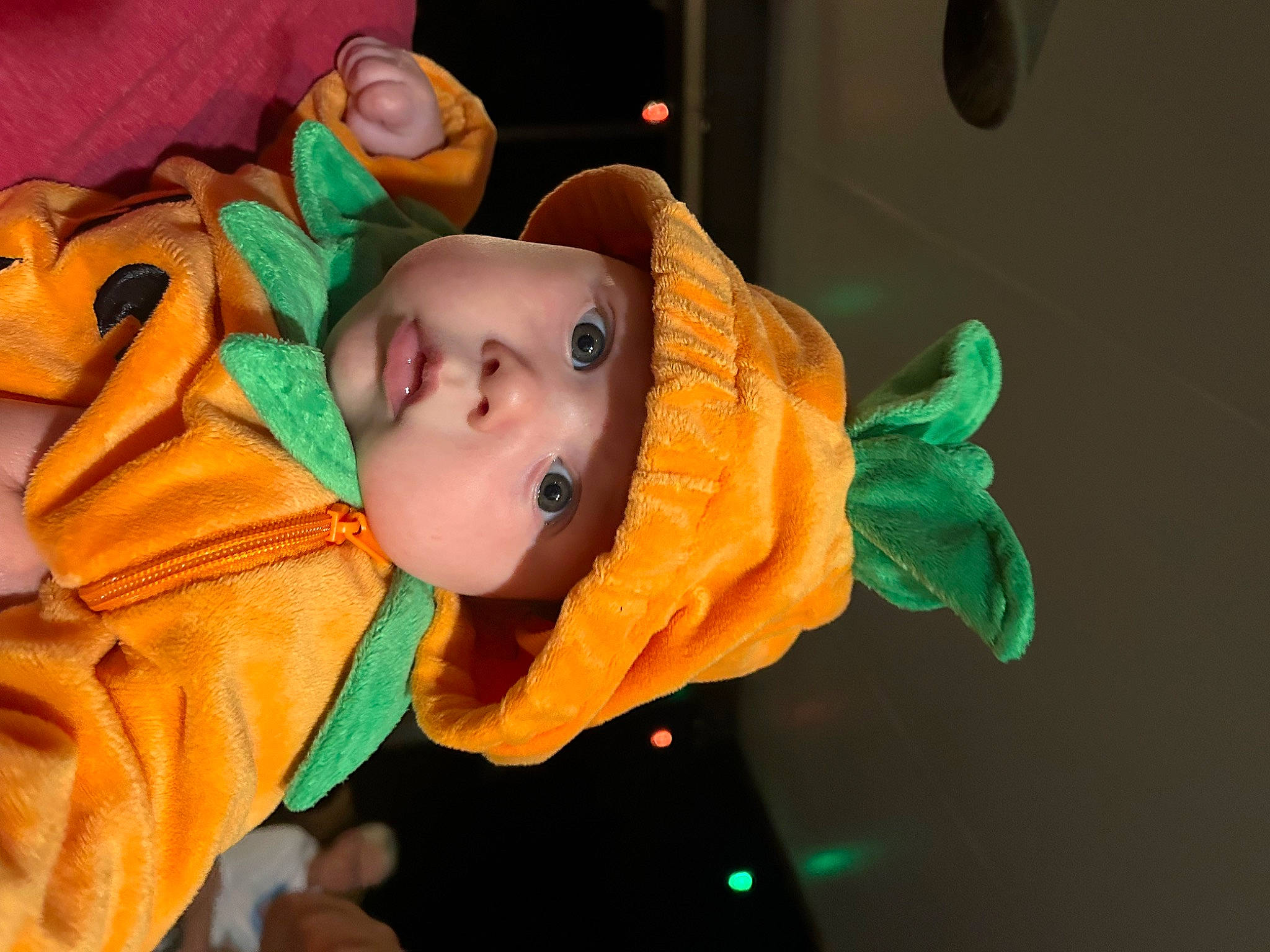 Jett joined the competition — help win amazing prizes! animation, baby, cheek, child, costume, event, eyelash, fun, fur, headwear, organism, person, plush, room, toddler