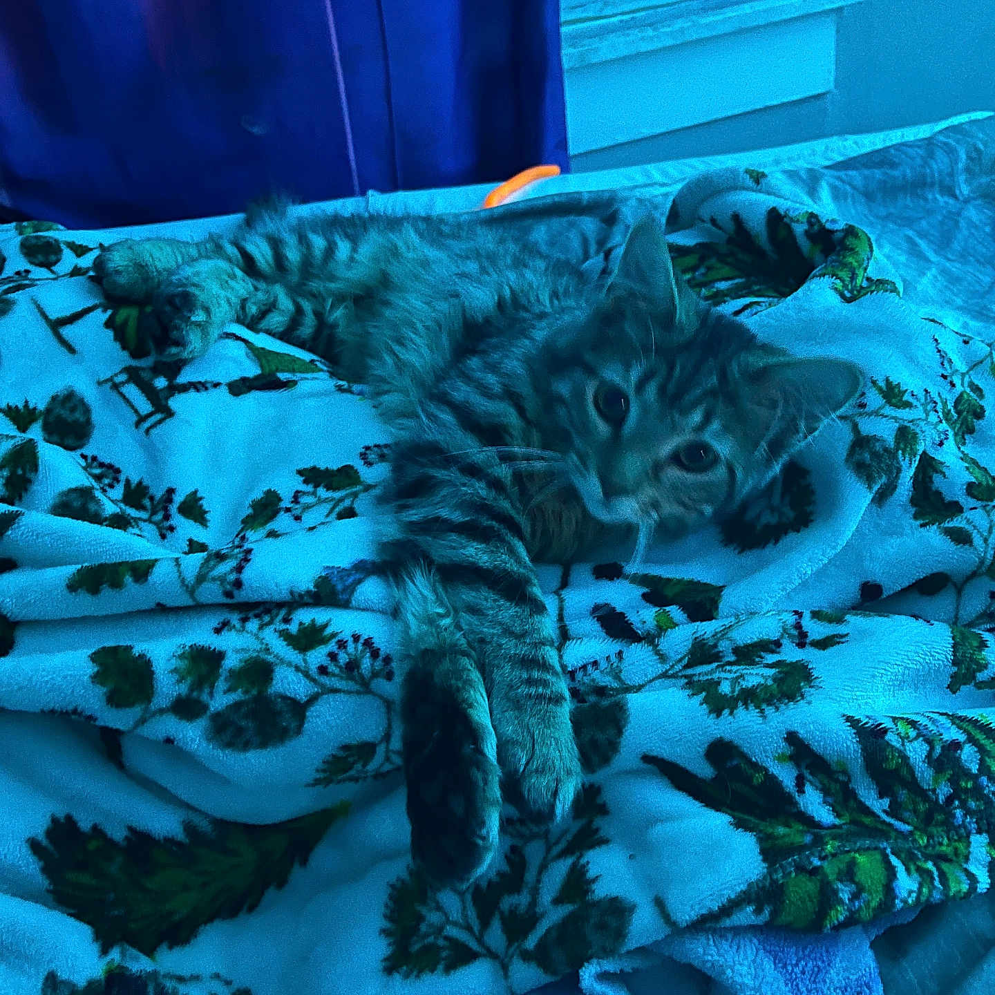 Ajax