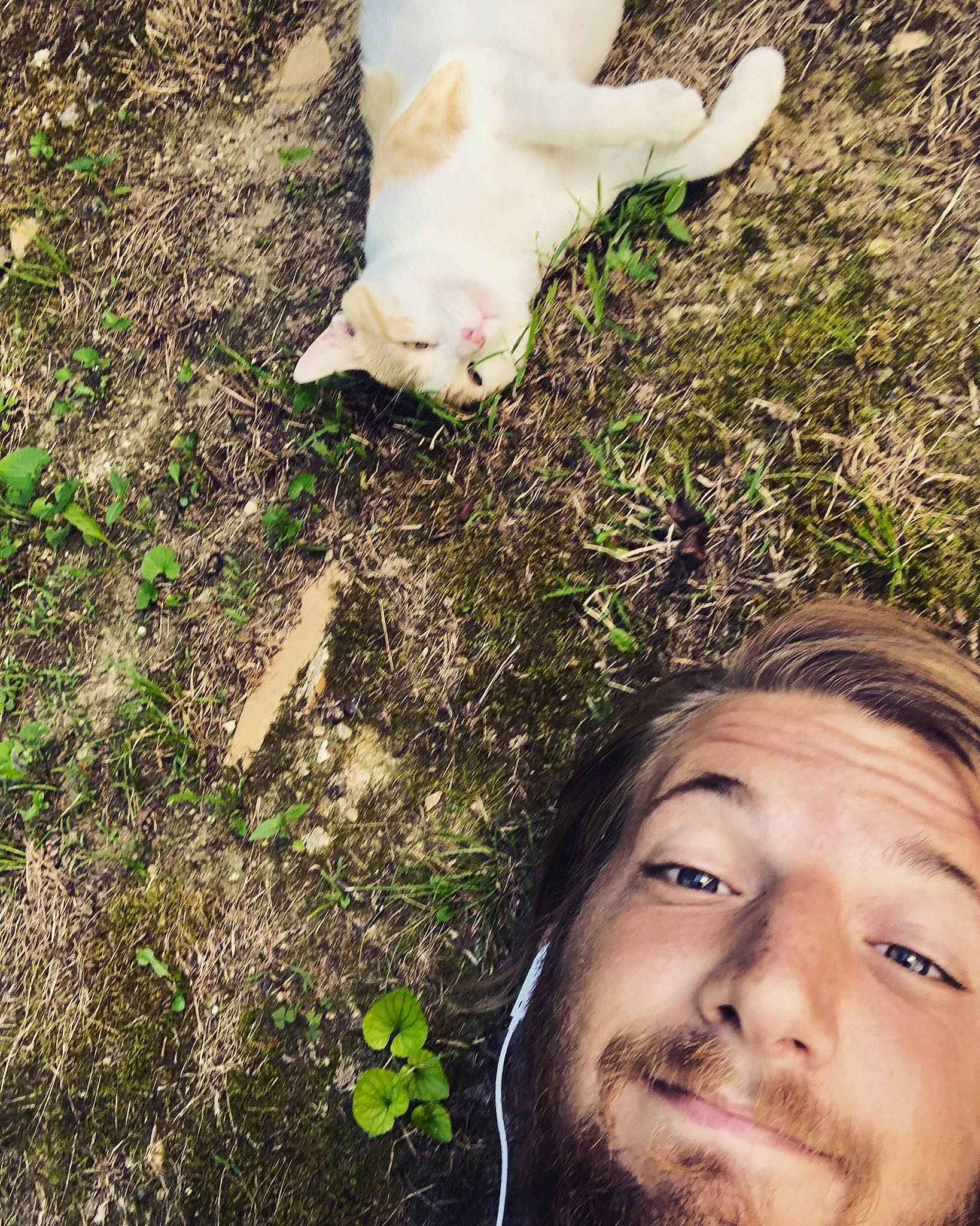 Timmy is registered to the contest to win money with this photo: beauty, child, fawn, gesture, grass, grass_family, green, hand, happy, head, leaf, leg, love, person, photography, plant, portrait, selfie, smile, soil