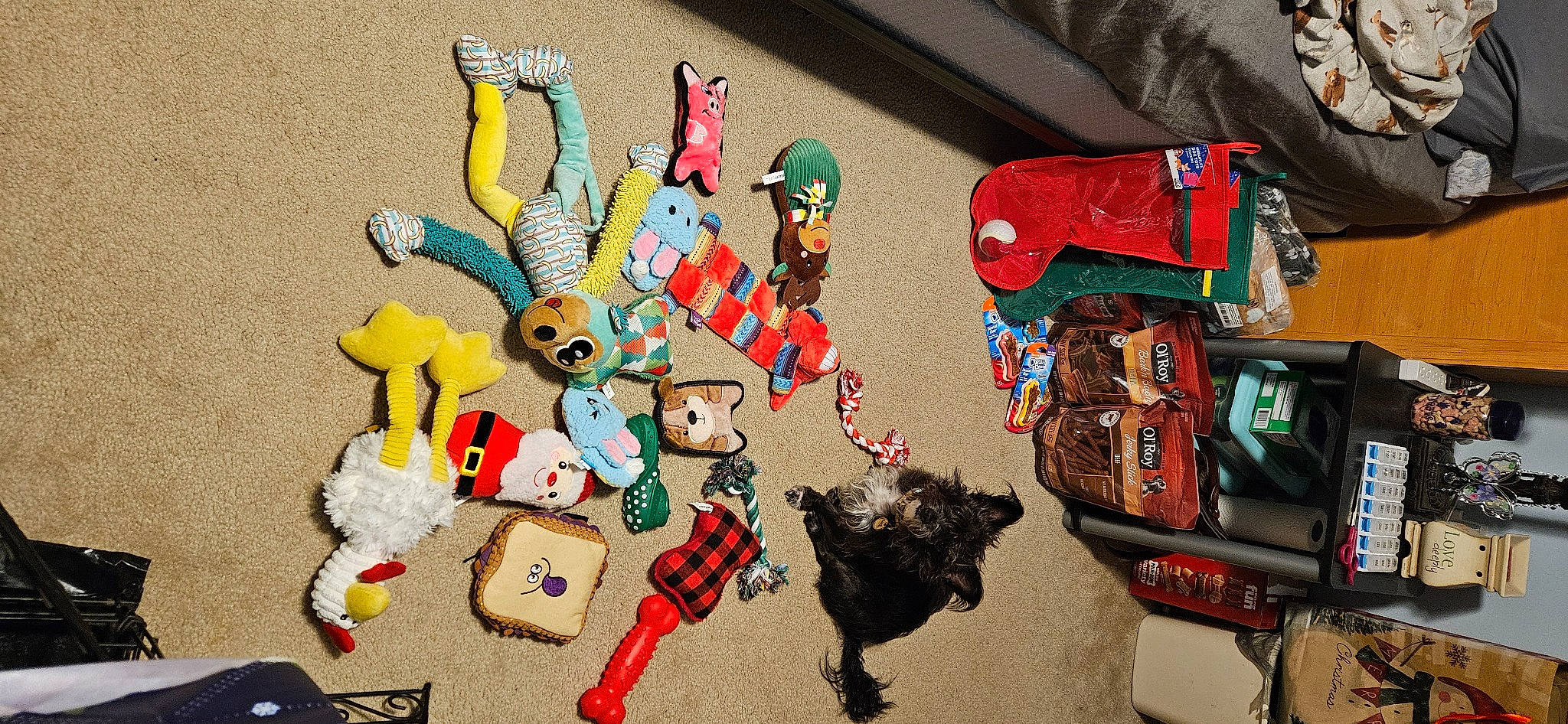 Onyx is registered to the contest to win money with this photo: animation, art, bag, carmine, collection, event, fiction, fictional_character, font, fun, games, hat, luggage_and_bags, plastic, recreation, room, toy, visual_arts