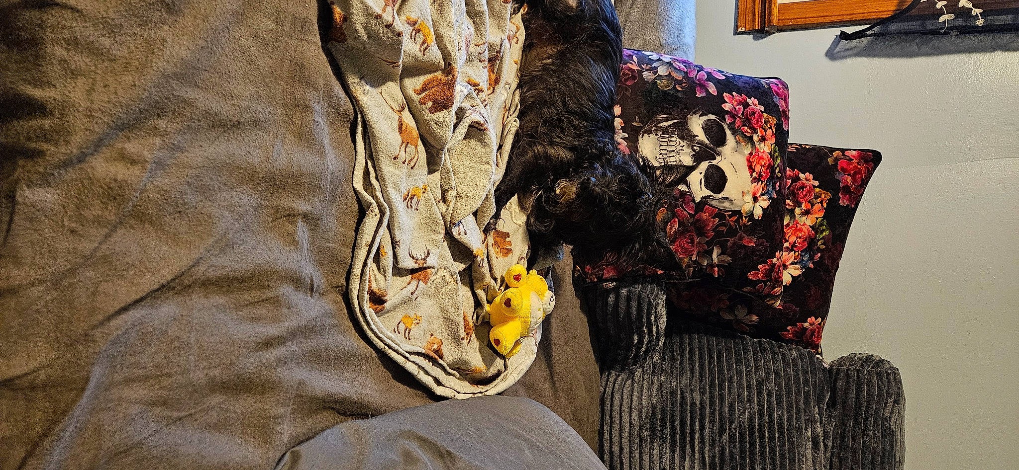 Princess joined the competition — help win amazing prizes! art, bag, bed_sheet, bedding, bedroom, chair, comfort, fashion_accessory, fashion_design, fur, hat, house, linens, orange, pattern, picture_frame, room, window, wood, wool