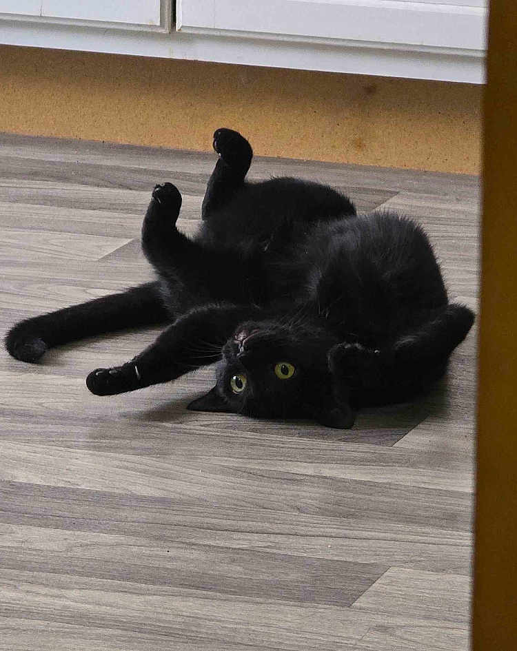 Salem