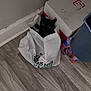 Salem is registered to the contest to win money with this photo: animal, black_cat, bottled_water, box, cat, container, corner, cozy, curious, feline, floor, hiding, household, indoor, pet, quiet, reusable_bag, shopping_bag, wide_eyes, wood_floor