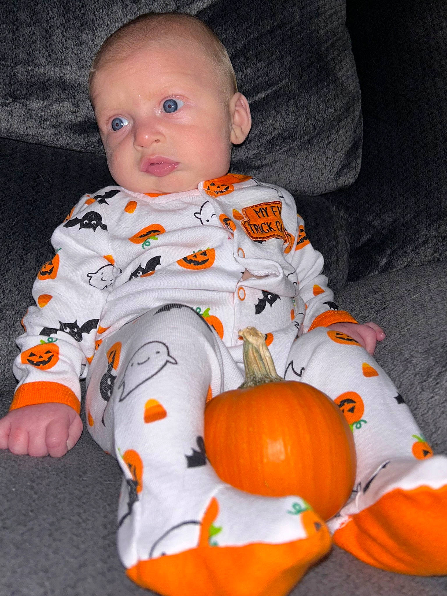 Conan joined the competition — help win amazing prizes! baby, baby_toddler_clothing, calabaza, child, comfort, cucurbita, eye, facial_expression, flooring, gourd, head, natural_foods, orange, person, plant, pumpkin, sleeve, squash, toddler, vegetable