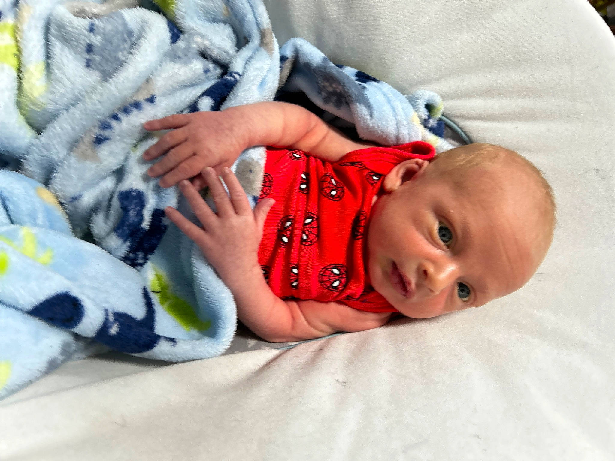 Conan is registered to the contest to win money with this photo: baby, baby_products, baby_sleeping, baby_toddler_clothing, bedding, bedtime, child, comfort, couch, fur, linens, mammal, nap, person, room, sitting, skin, sleeve, toddler, wood