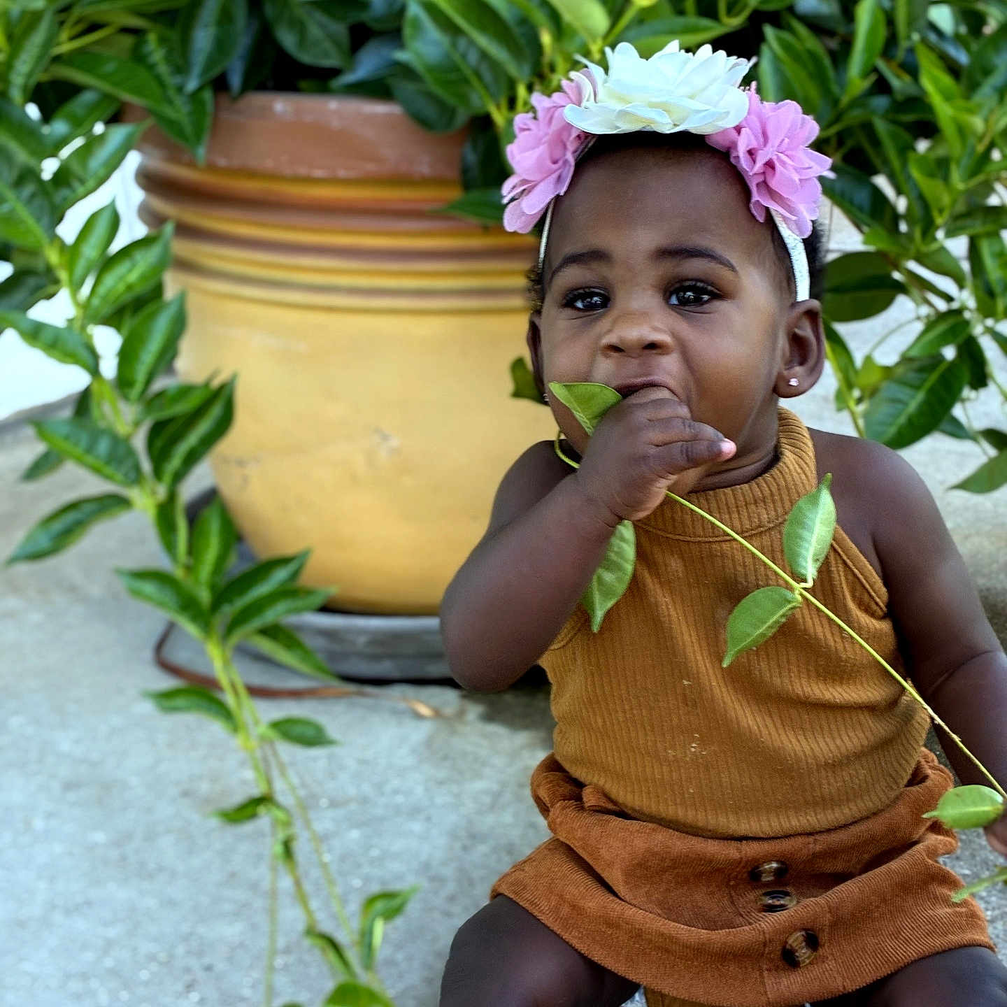Armani is registered to the contest to win money with this photo: toddler, child, flower_headband, leaf, plant, pot, outdoor, curious, sitting, brown_clothing, nature, greenery, cute, exploring, face, portrait, young_child, headwear, plant_pot, daylight