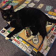 Lancer joined the competition — help win amazing prizes!