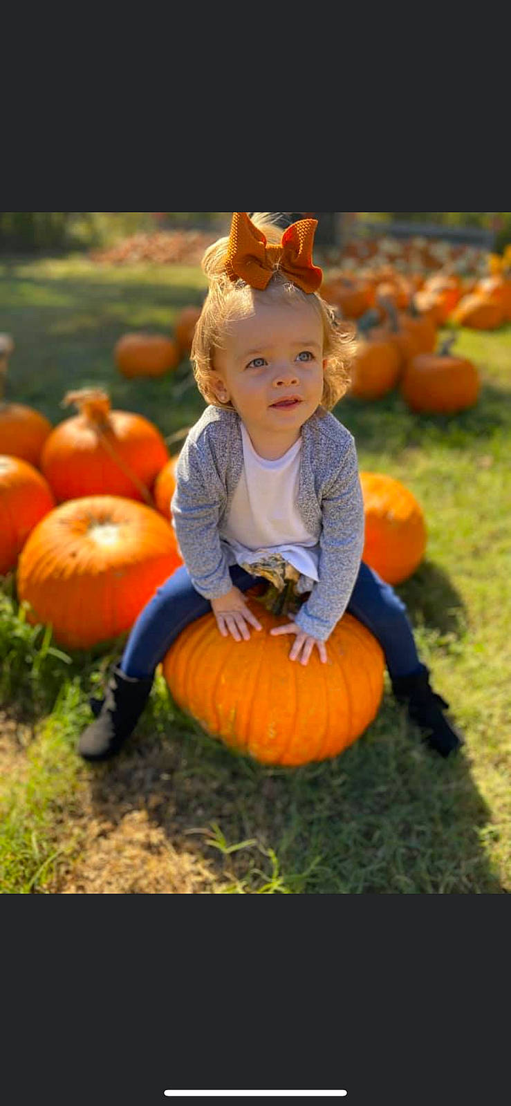 Kynslee joined the competition — help win amazing prizes! _and_melon_family, _gourd, autumn, calabaza, child, cucumber, cucurbita, food, fruit, gourd, orange, person, plant, play, produce, pumpkin, smile, squash, toddler, vegetable