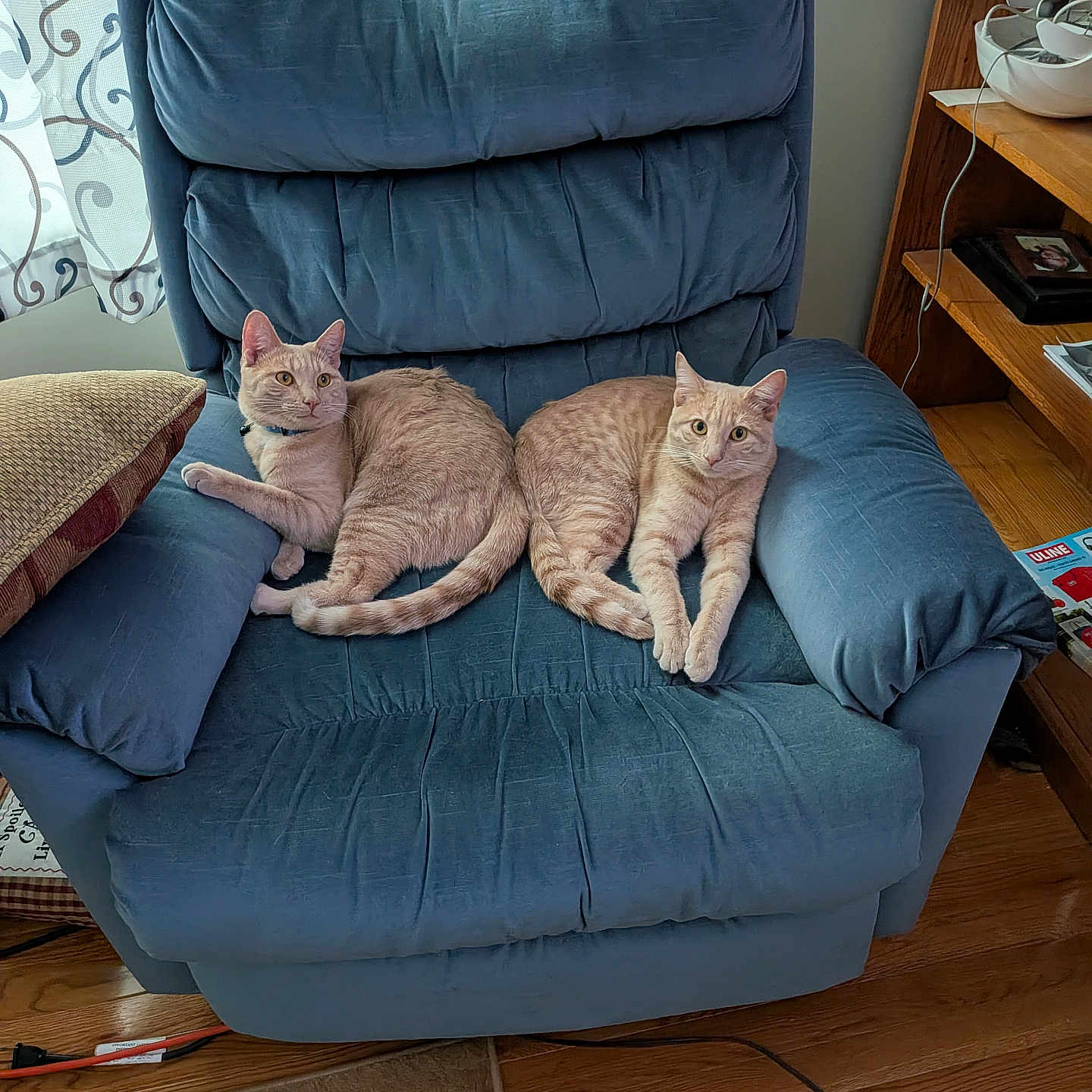Tom And Jerry