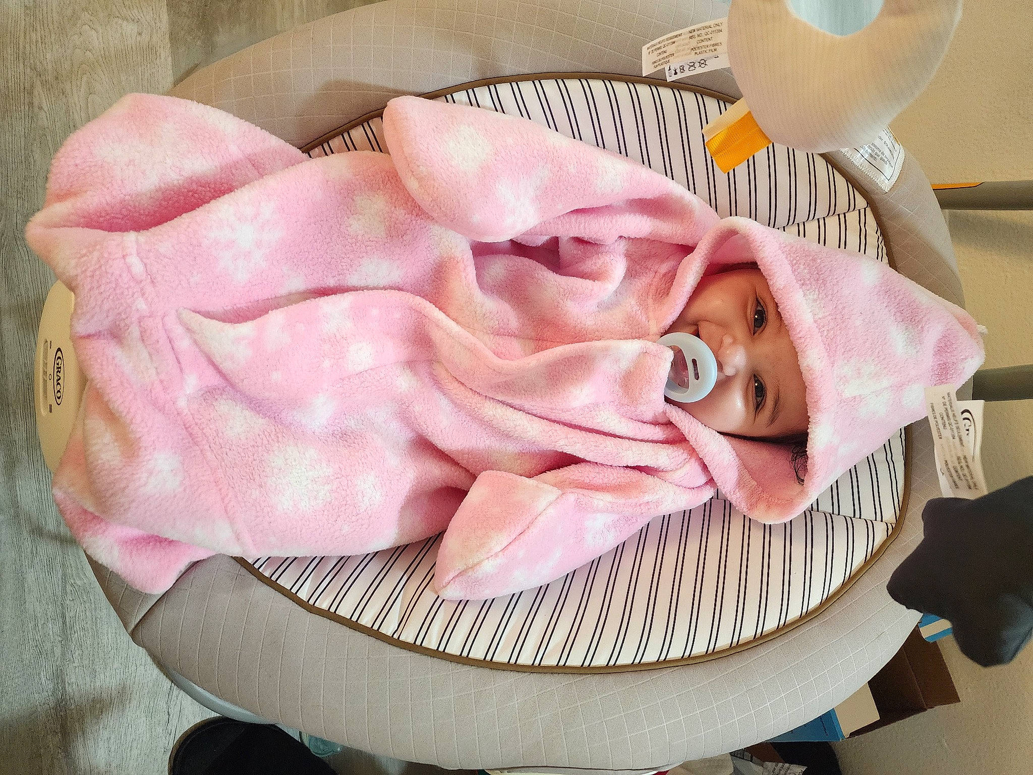 Mahnoor joined the competition — help win amazing prizes! baby, baby_products, baby_toddler_clothing, child, fashion_accessory, hair_accessory, headwear, kitchen_utensil, linens, magenta, pattern, peach, person, petal, pink, rose, rose_order, tableware, white