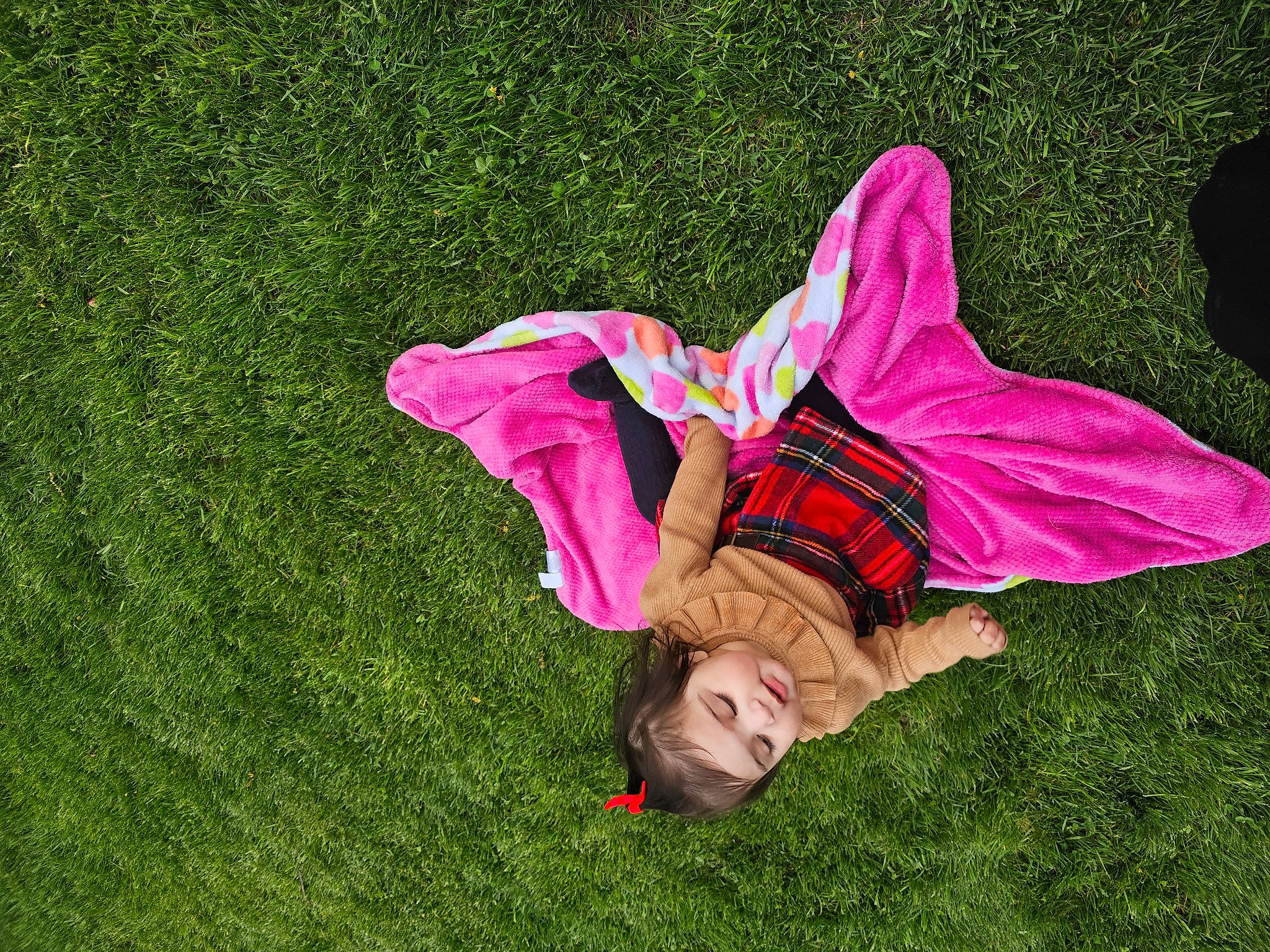 Mahnoor is registered to the contest to win money with this photo: artificial_turf, child, flooring, fun, garden, grass, grass_family, grassland, happy, human_leg, lawn, leisure, magenta, meadow, people_in_nature, person, petal, plant, recreation, sitting