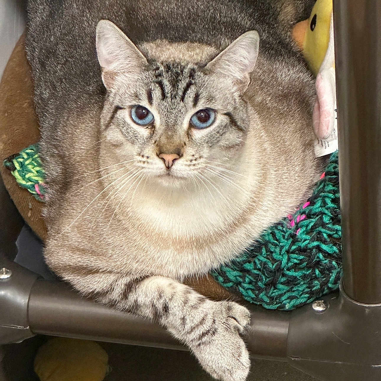 Francisco