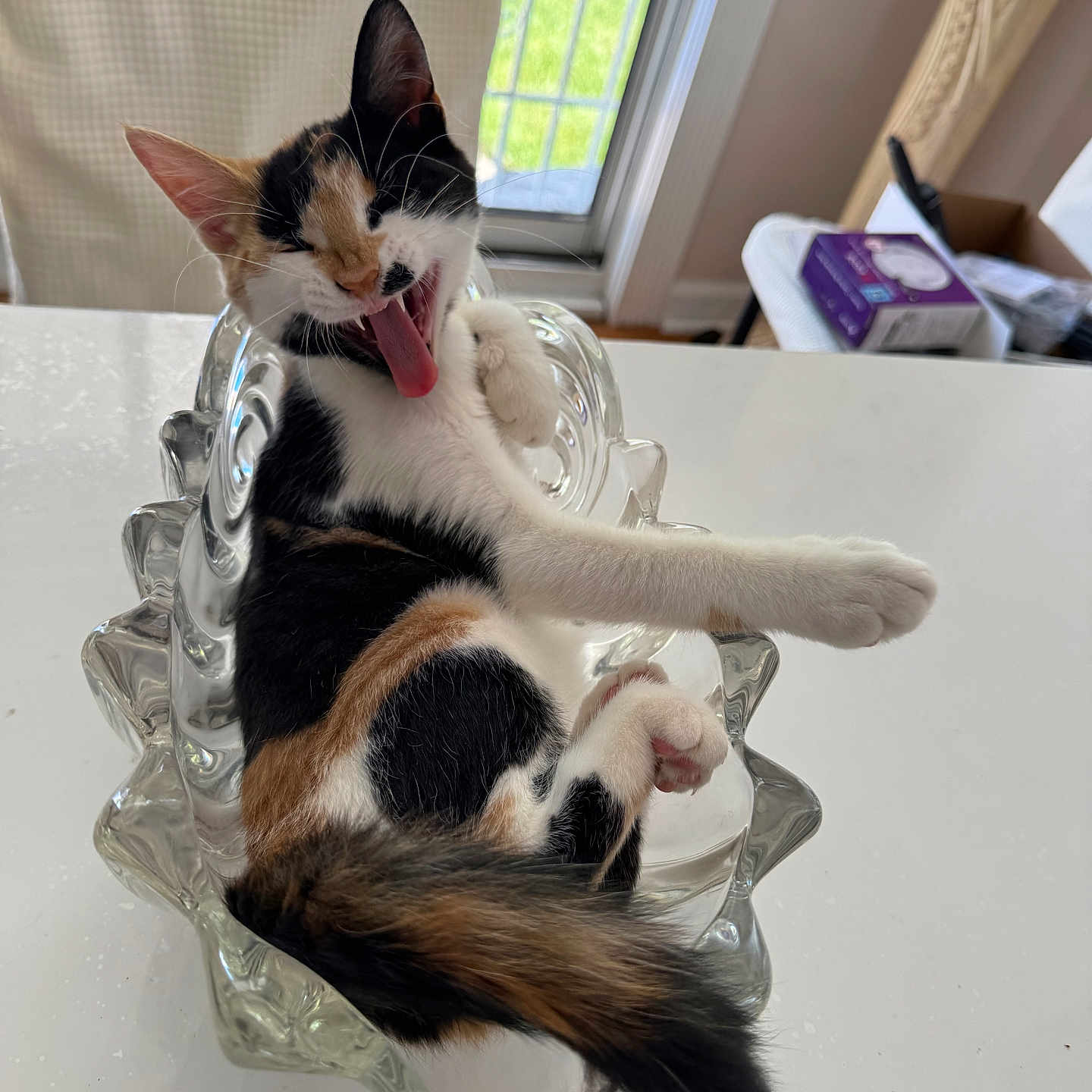 Myla