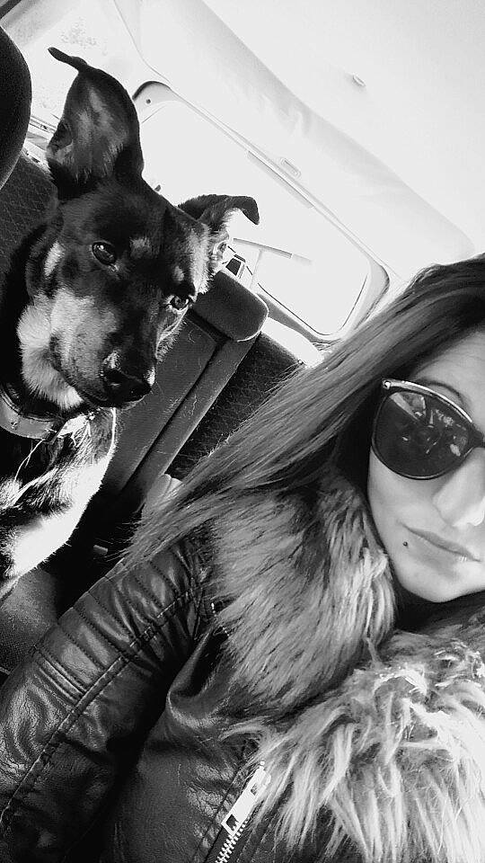 Kayla a rejoint le concours — aidez-le/la à gagner de superbes lots ! black, black_and_white, carnivore, companion_dog, dog, dog_breed, eyewear, gesture, glasses, goggles, happy, leather_jacket, lip, monochrome, organ, street_fashion, style, sunglasses, vision_care, white