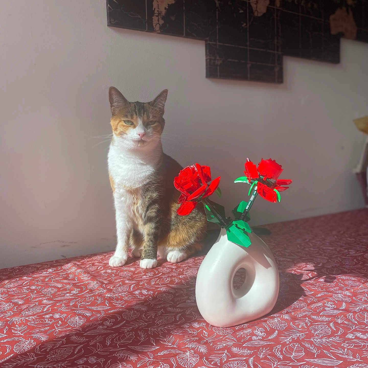 Dawson participe au concours pour gagner de l'argent avec cette photo : animal, canine, cat, daisy, flower, flowerarrangement, flowerbouquet, geranium, ikebana, indoors, jar, kitten, manx, pet, petal, plant, planter, pottedplant, pottery, vase