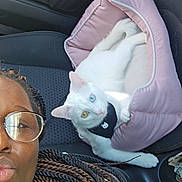 Orion is registered to the contest to win money with this photo: person, cat, car_interior, seat, pet_bed, white_cat, heterochromia, glasses, braided_hair, casual_clothing, closeup, indoor, animal, cute, relaxing, seat_belt, pink, black, green, portrait