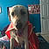 Ryker
