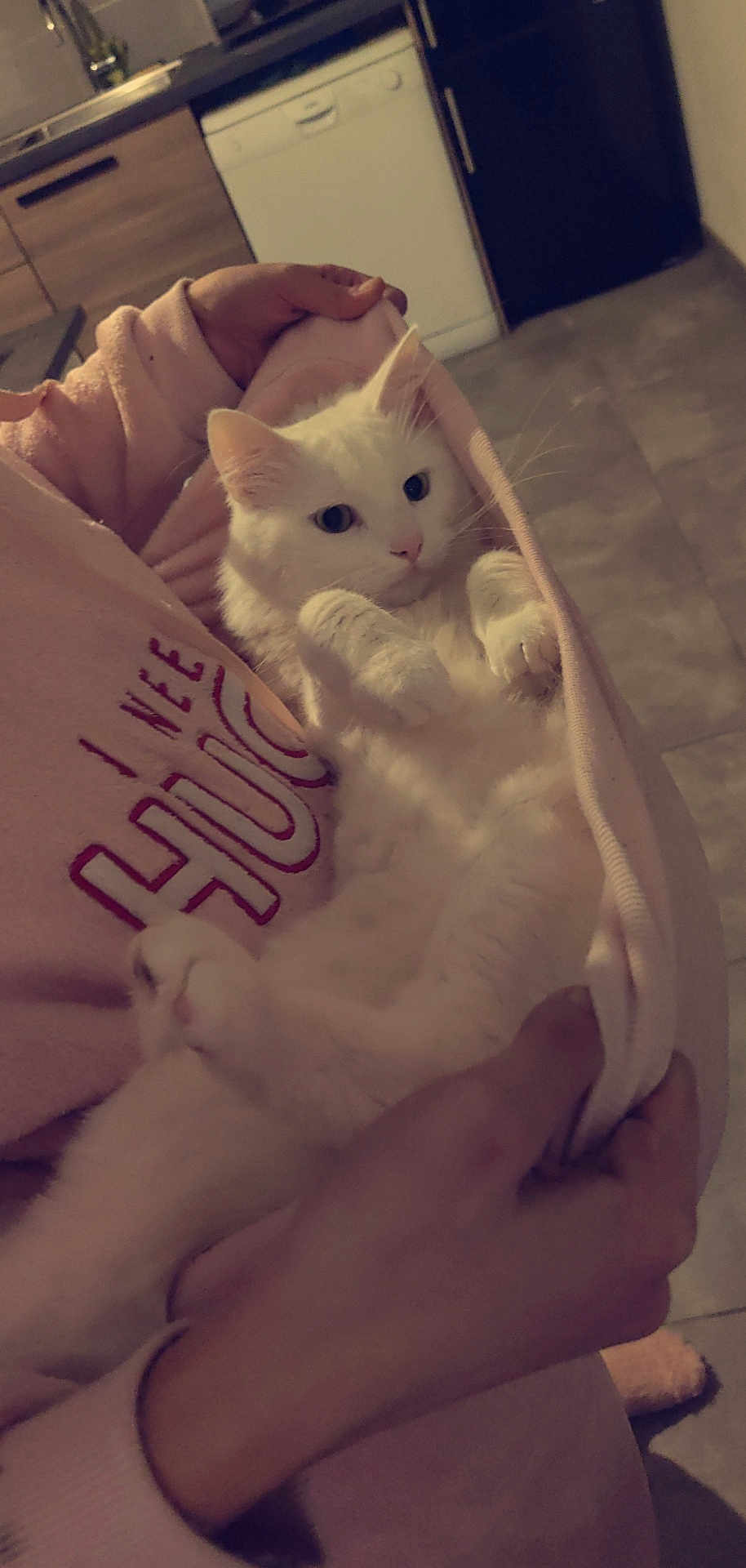 Mon Fils