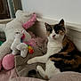 animal, bed, blanket, brown, calico_cat, cat, cozy, curious, cute, fur, furniture, indoor, pet, pink, resting, soft_toys, stuffed_animal, unicorn, whiskers, white