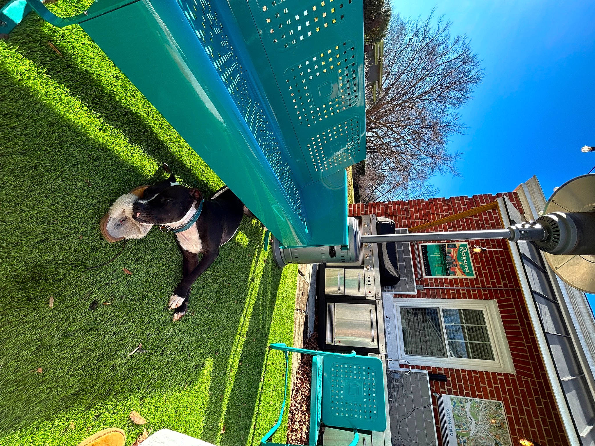 Blu is registered to the contest to win money with this photo: apartment, artificial_turf, building, city, facade, fun, games, grass, green, house, landscape, leisure, mixed_use, recreation, roof, sky, tree, urban_design, window