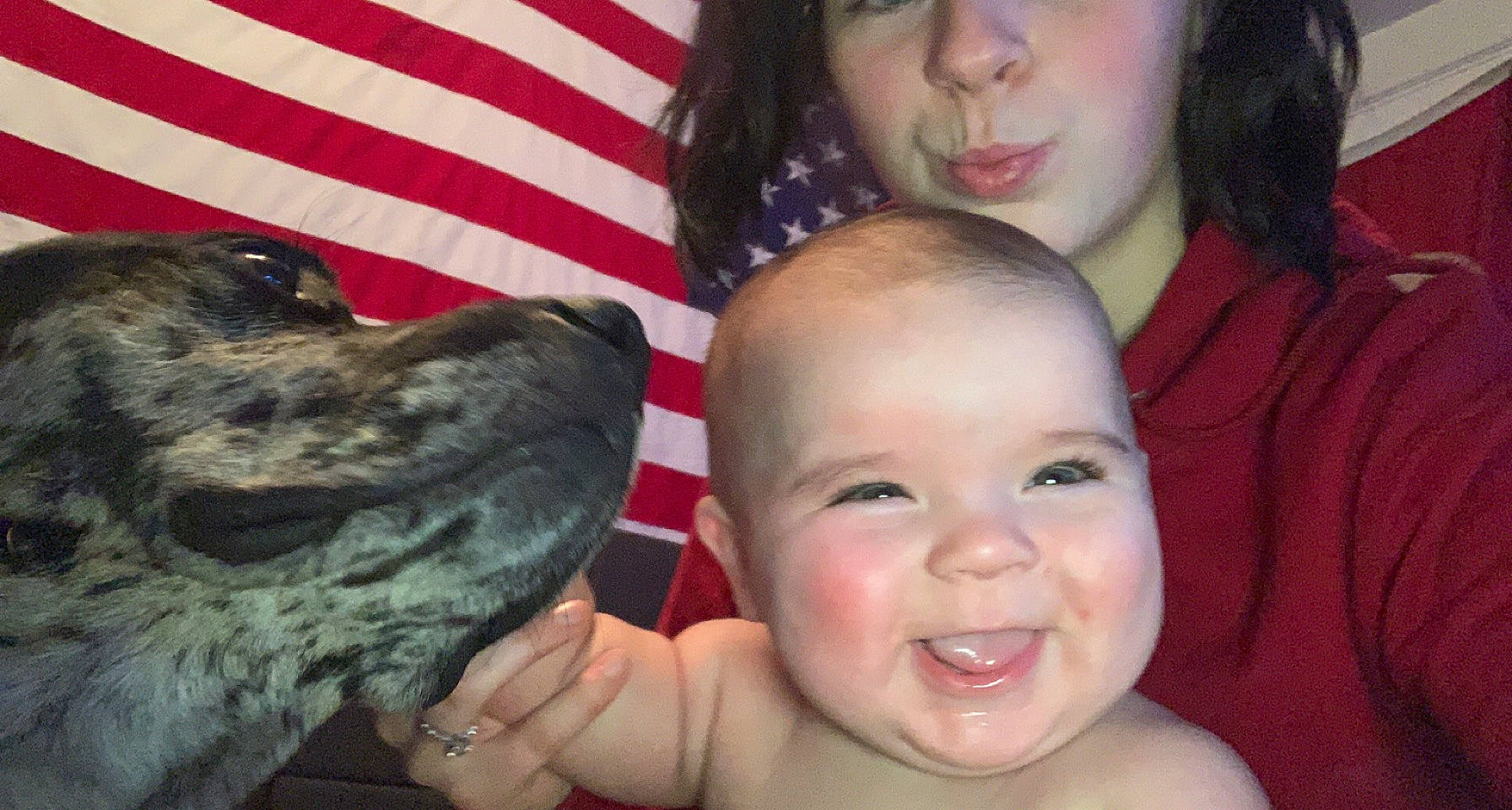 Xaynder joined the competition — help win amazing prizes! baby, carnivore, child, dog, dog_breed, ear, eye, face, facial_expression, fun, gesture, happy, iris, joy, lip, mouth, nose, organ, person, skin