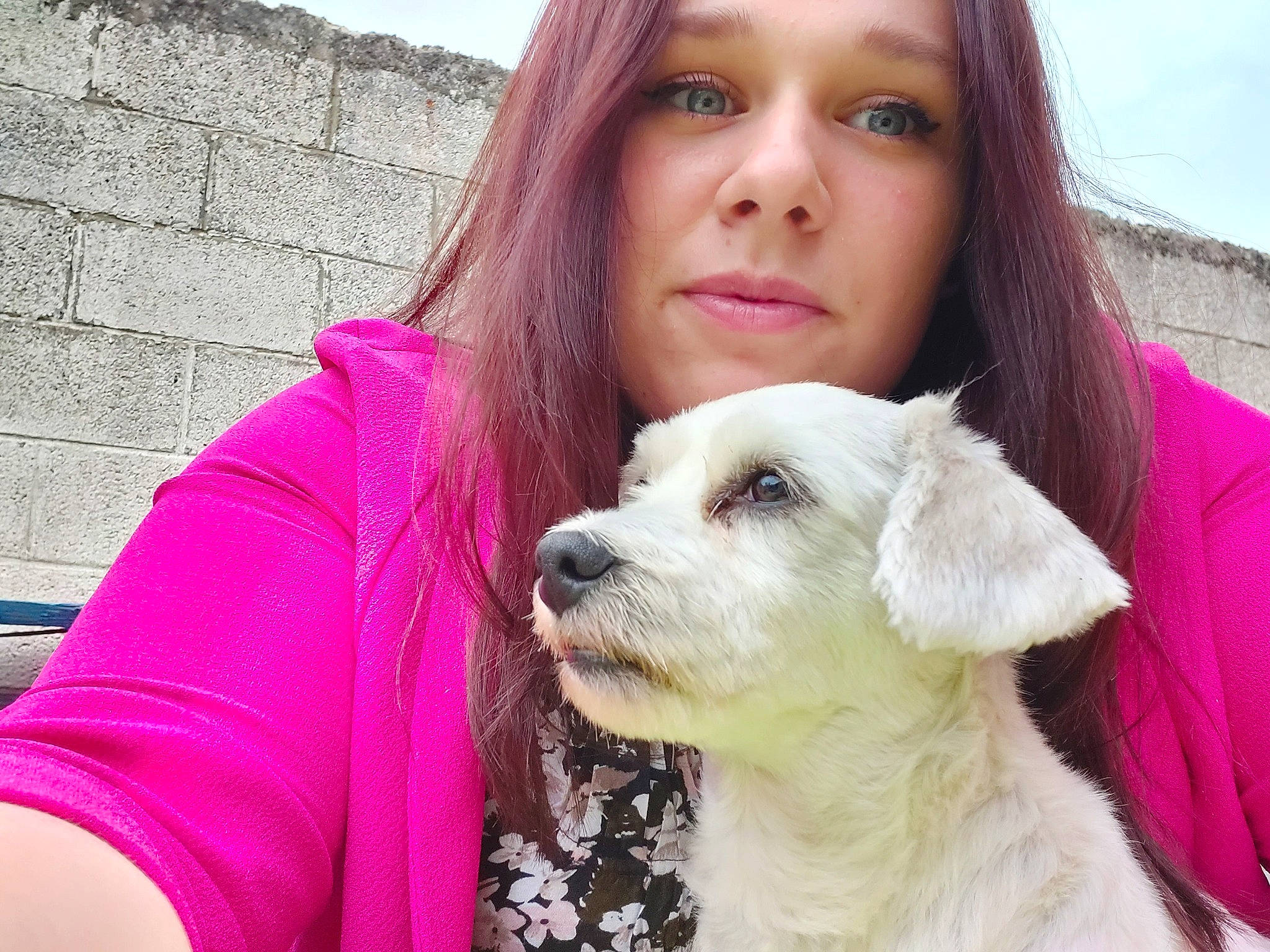 Khaïly participe au concours pour gagner de l'argent avec cette photo : blond, canidae, carnivore, companion_dog, dog, dog_breed, hair, happy, human, mammal, nose, pink, puppy, puppy_love, schnoodle, sporting_group