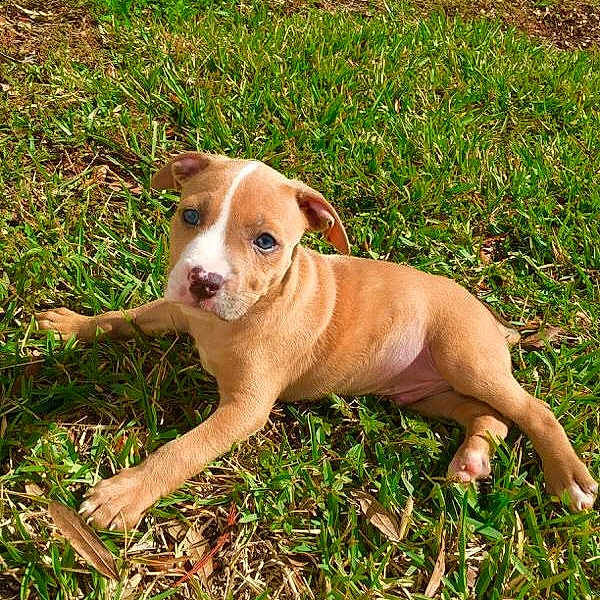 Philip is registered to the contest to win money with this photo: