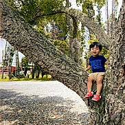 Paulo Bernal Salazar is registered to the contest to win money with this photo: child, tree, outdoor, nature, greenery, grass, leaves, branch, smiling, boy, casual_clothing, red_shoes, daylight, park, trunk, playful, happy, young, person, scenery