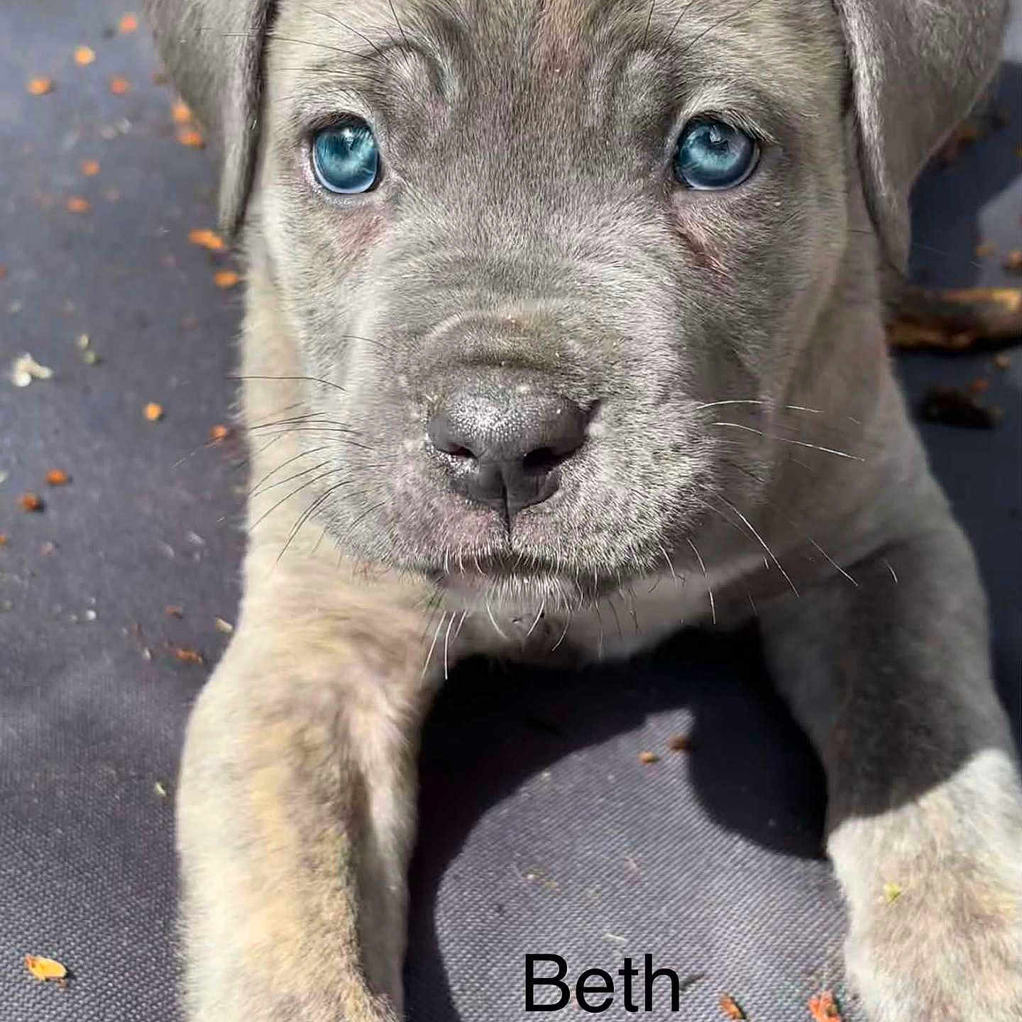 Beth
