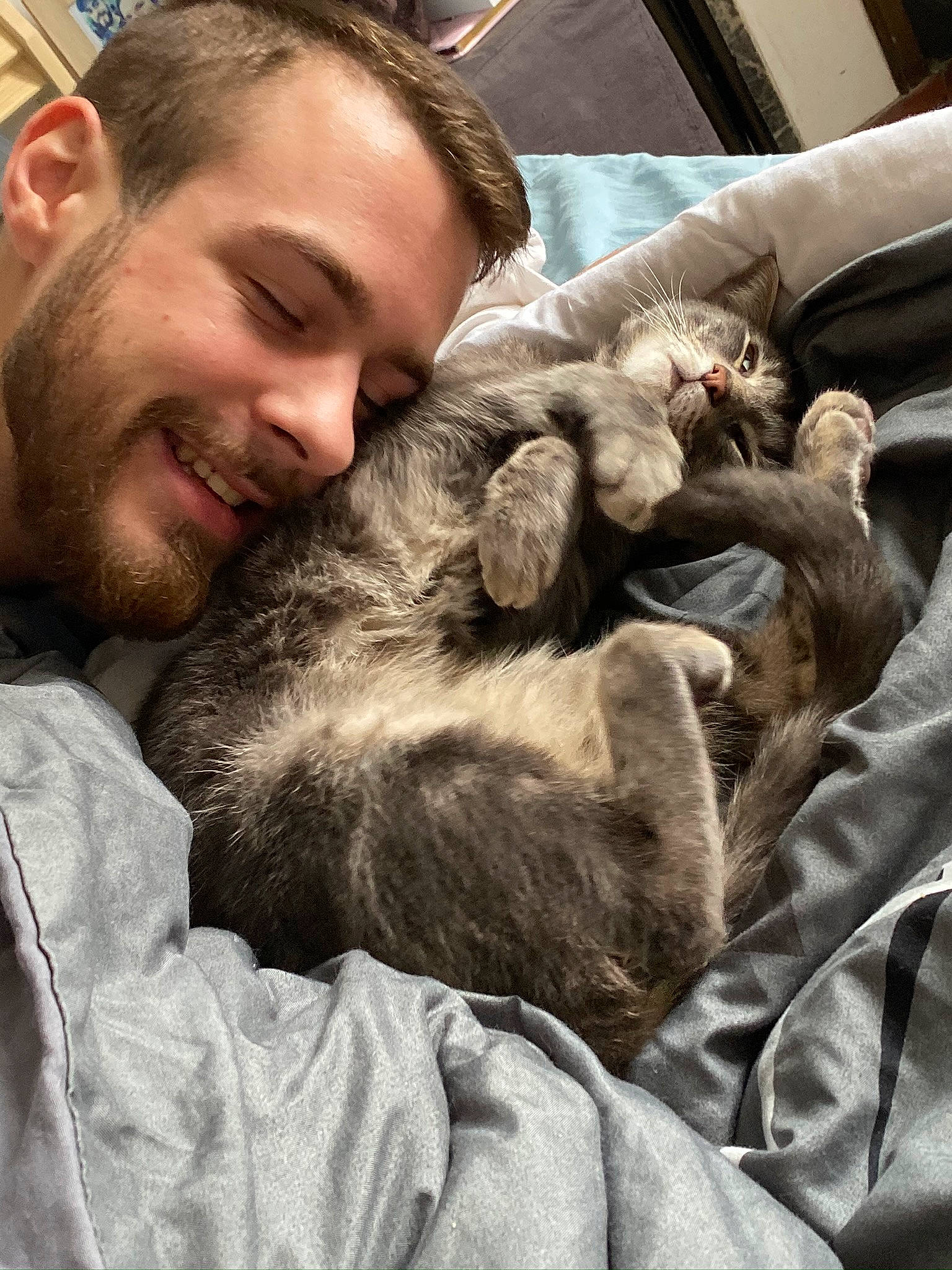 Guizmo a rejoint le concours — aidez-le/la à gagner de superbes lots ! carnivore, cat, felidae, fur, human, nap, puppy, sleep, small_to_medium_sized_cats