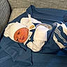 baby, newborn, infant, child, portrait, lying_down, blanket, blue, hat, mittens, sweater, clothing, couch, indoors, cozy, sleeping, face, eyes, photography, home