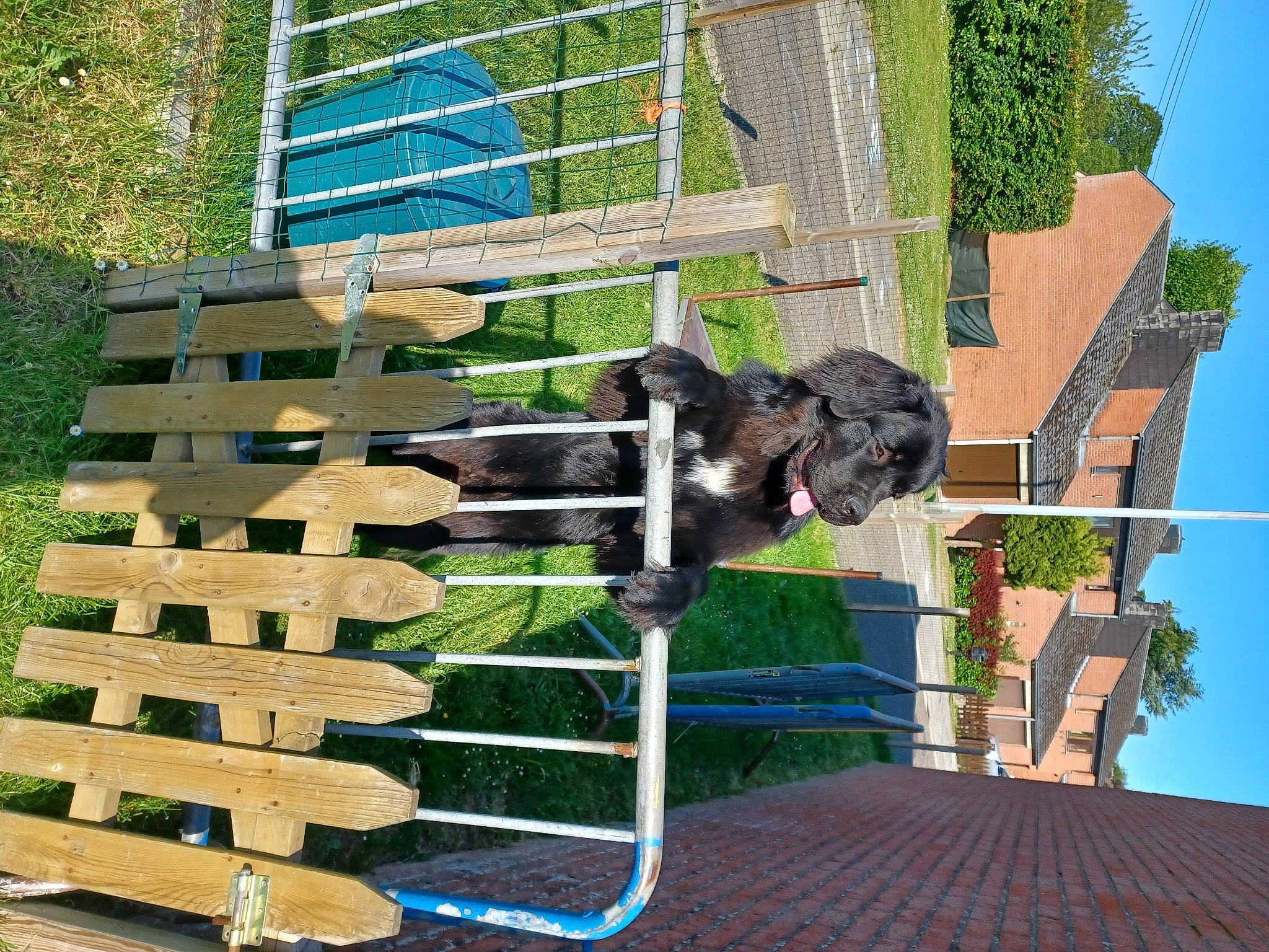 Harry a rejoint le concours — aidez-le/la à gagner de superbes lots ! building, facade, grass, landscape, lumber, metal, outdoor_structure, plant, roof, sky, tree, urban_design, wood