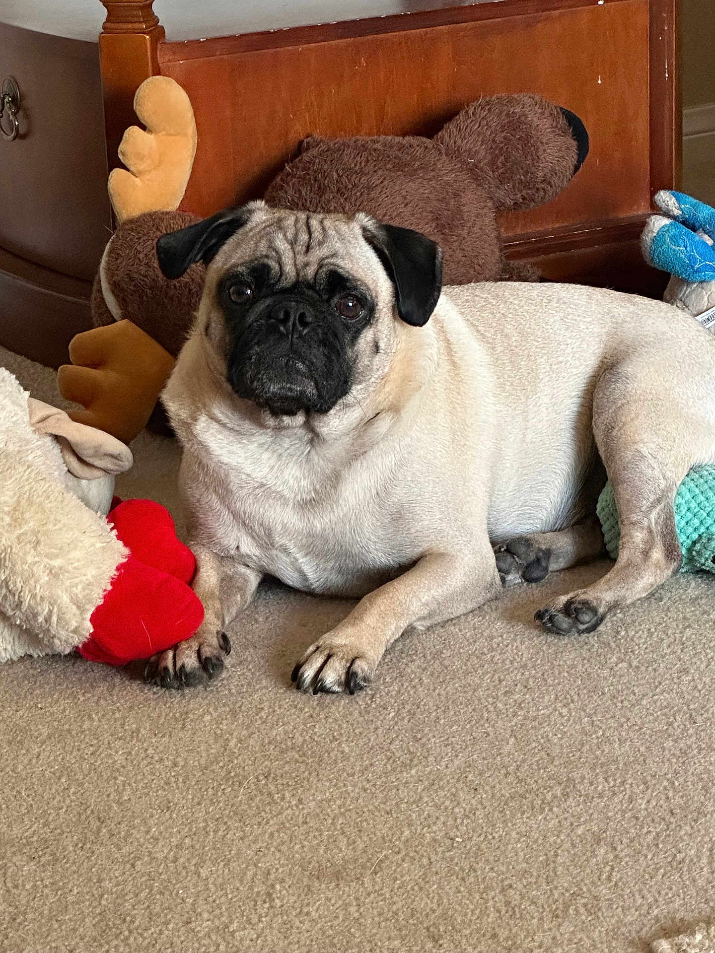 Otis