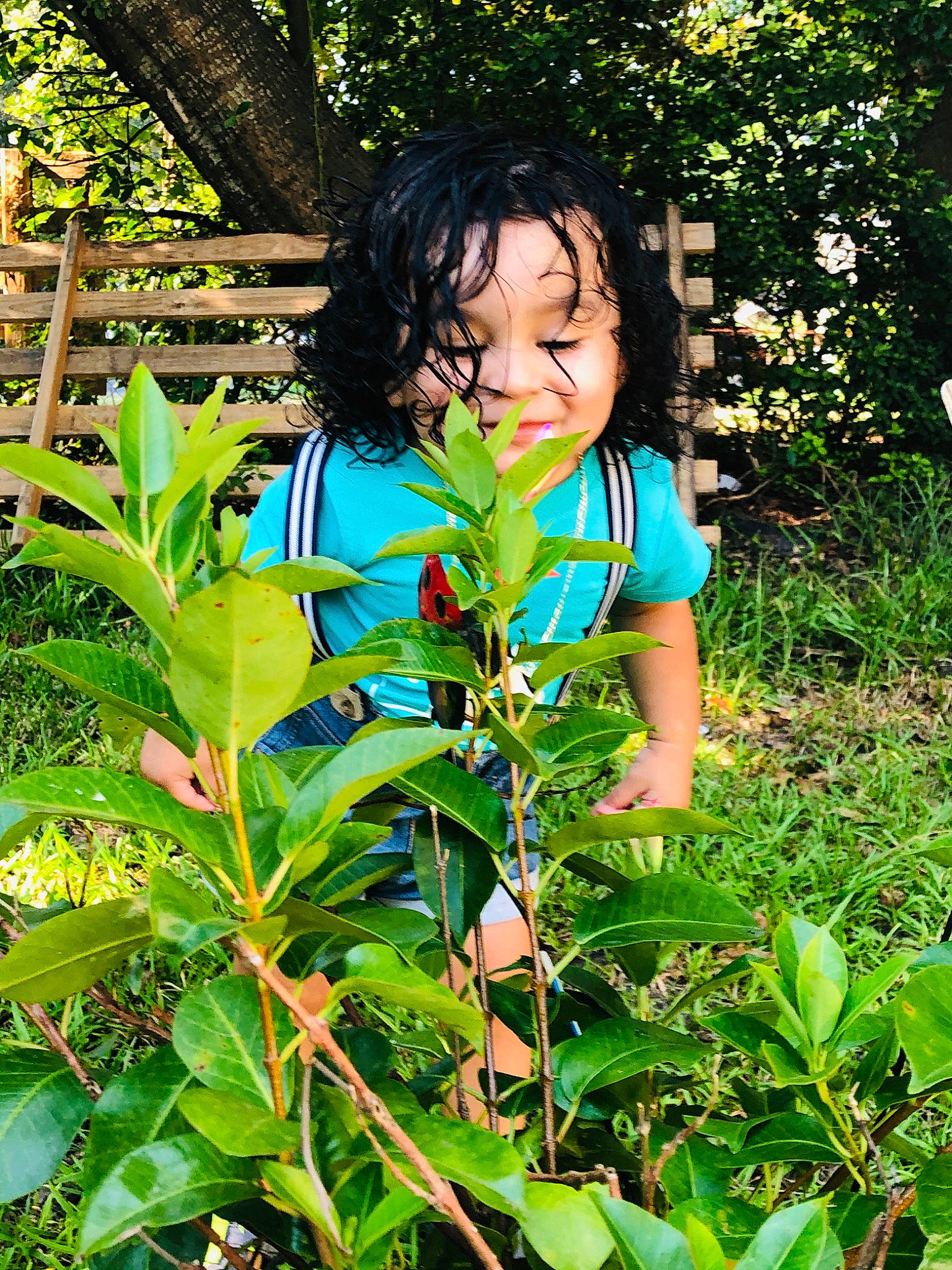 Logan joined the competition — help win amazing prizes! botany, flower, garden, leaf, person, plant, tree