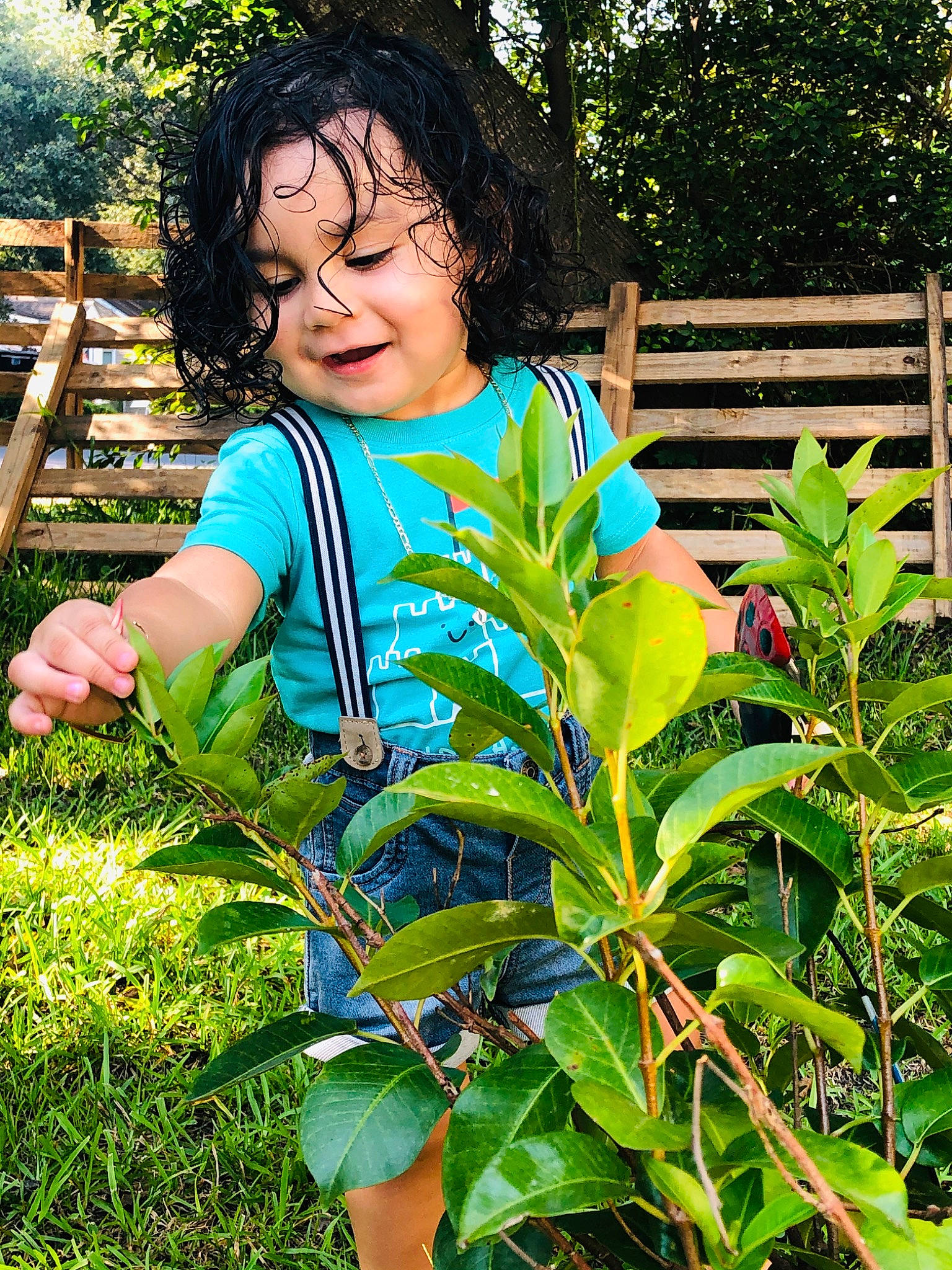 Logan joined the competition — help win amazing prizes! adaptation, botany, child, farm, flower, garden, herb, leaf, person, plant, plantation, shrub, tree