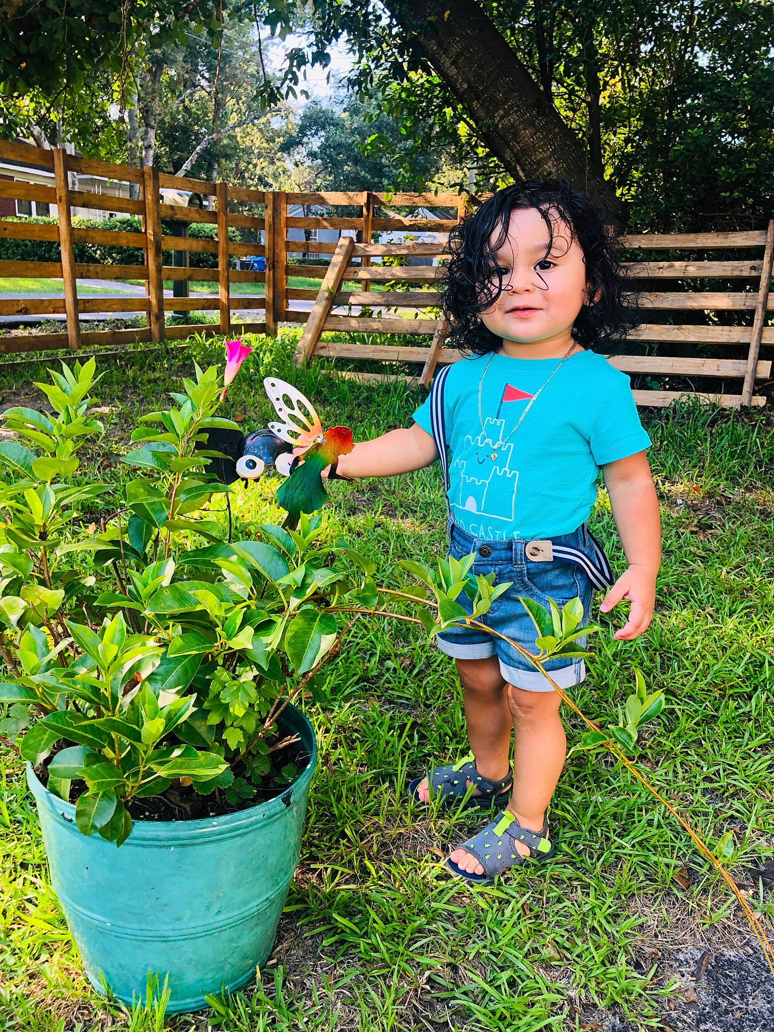 Logan joined the competition — help win amazing prizes! child, farm, flower, garden, gardener, gardening, herb, person, plant, shrub, summer, toddler, tree, vacation