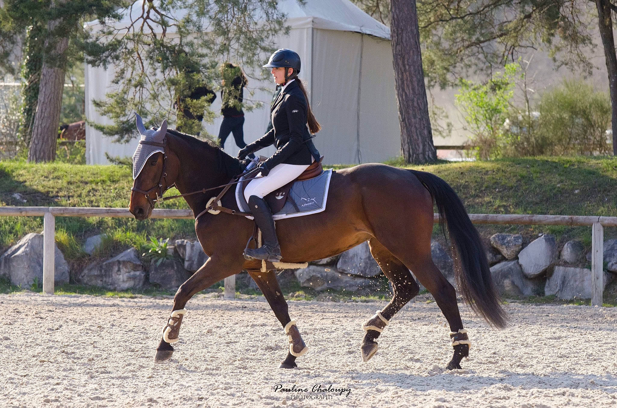 Charlyz Girl Du Lys participe au concours pour gagner de l'argent avec cette photo : animal_sports, bridle, dressage, english_riding, equestrian, equestrian_sport, equestrianism, equitation, eventing, halter, horse, horse_supplies, horse_tack, mammal, outdoor_recreation, recreation, rein, saddle, sports, vertebrate