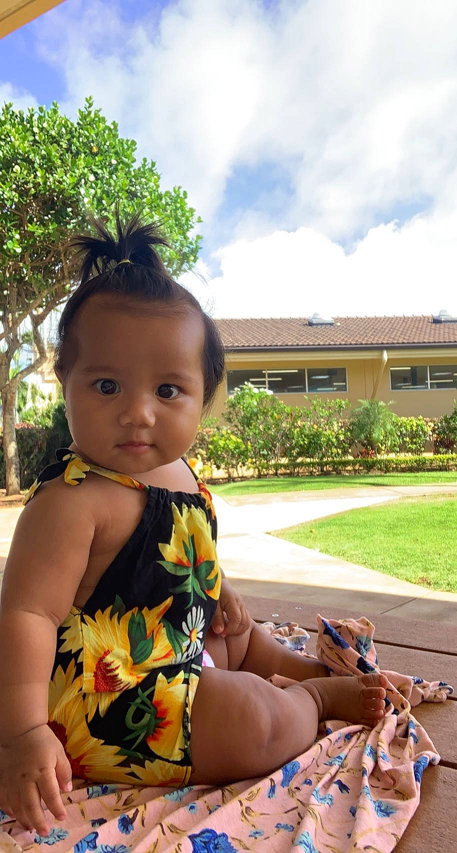 Deborah is registered to the contest to win money with this photo: baby_toddler_clothing, black_hair, botany, child, cloud, fun, garden, grass, happy, human_leg, leaf, leisure, person, plant, recreation, sitting, sky, summer, toddler, tree