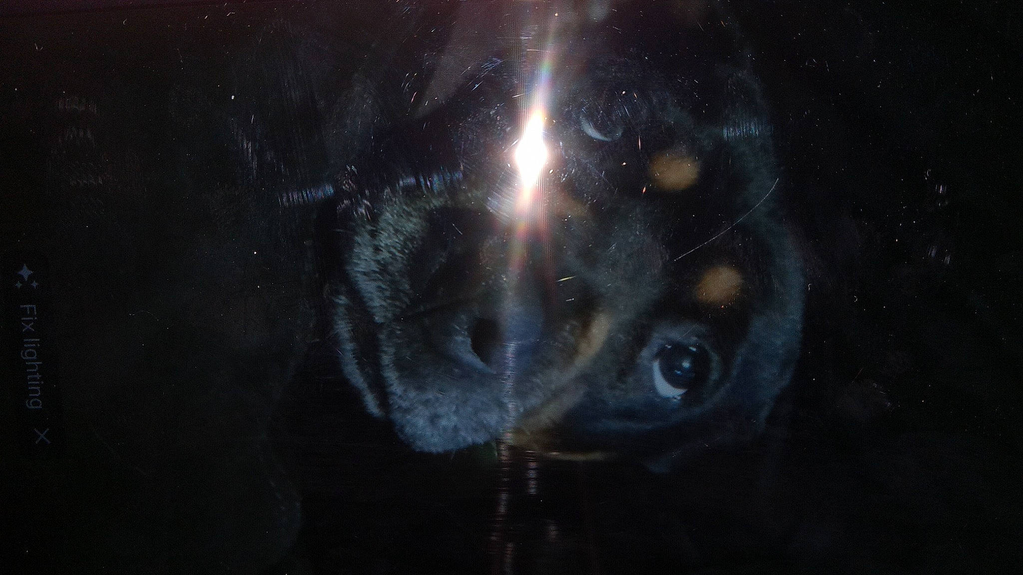 Miracle. is registered to the contest to win money with this photo: art, astronomical_object, celestial_event, circle, darkness, electric_blue, flash_photography, graphics, lens_flare, midnight, outer_space, painting, science, snout, space, star, universe, visual_arts, whiskers, wildlife