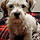 Tilly