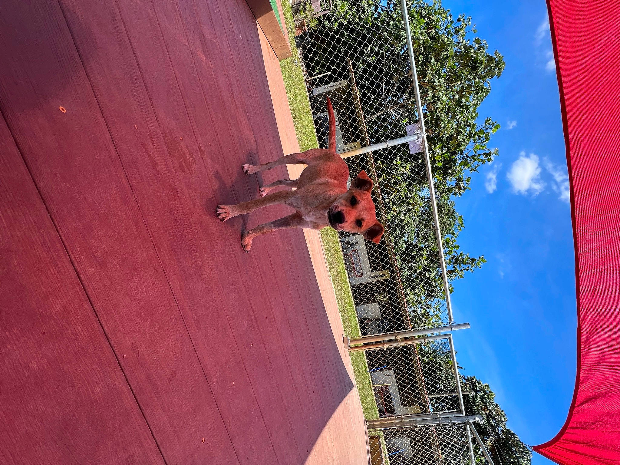 Sadie is registered to the contest to win money with this photo: adventure, building, cloud, extreme_sport, facade, flooring, fun, hardwood, house, leisure, plant, recreation, shadow, sky, tree, urban_design, wall, wire, wood, wood_stain