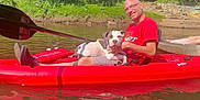 Zeak joined the competition — help win amazing prizes! adventure, animal, dog, house, kayak, lake, leisure, man, nature, outdoor, paddle, pet, recreation, relaxation, river, smiling, summer, sunlight, trees, water