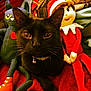 animal, bell, black_cat, cat, close_up, collar, colorful, cute, eyes, fabric, face, indoor, pet, plush, red, sitting, soft_toy, stuffed_doll, toy, whiskers